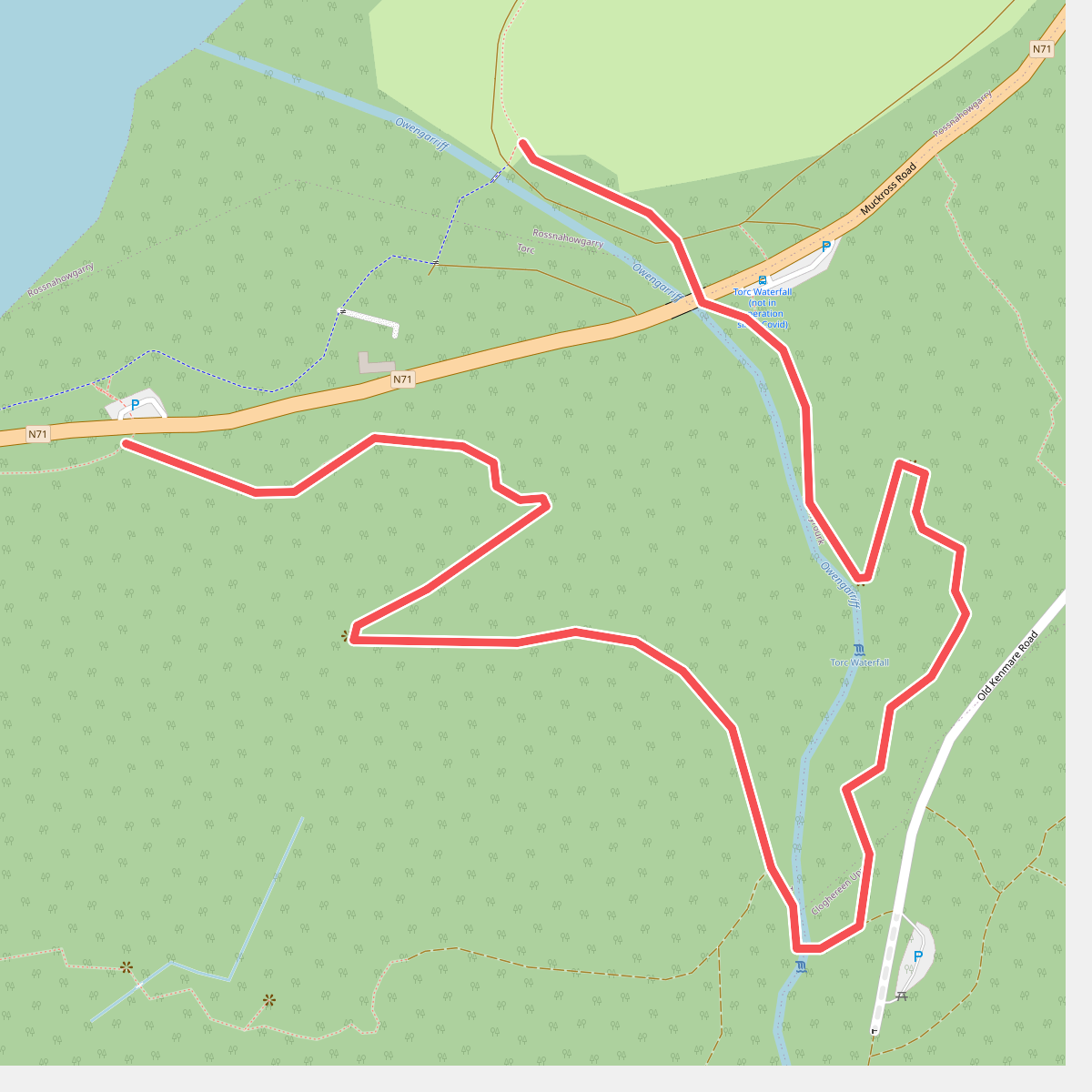 Muckross Lake Walk
