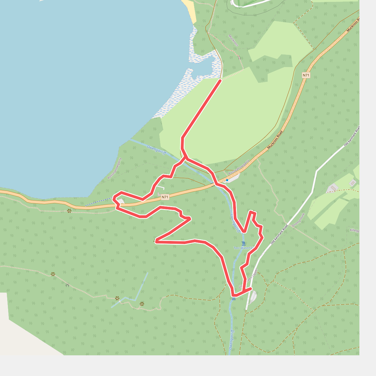 Torc Yellow Trail