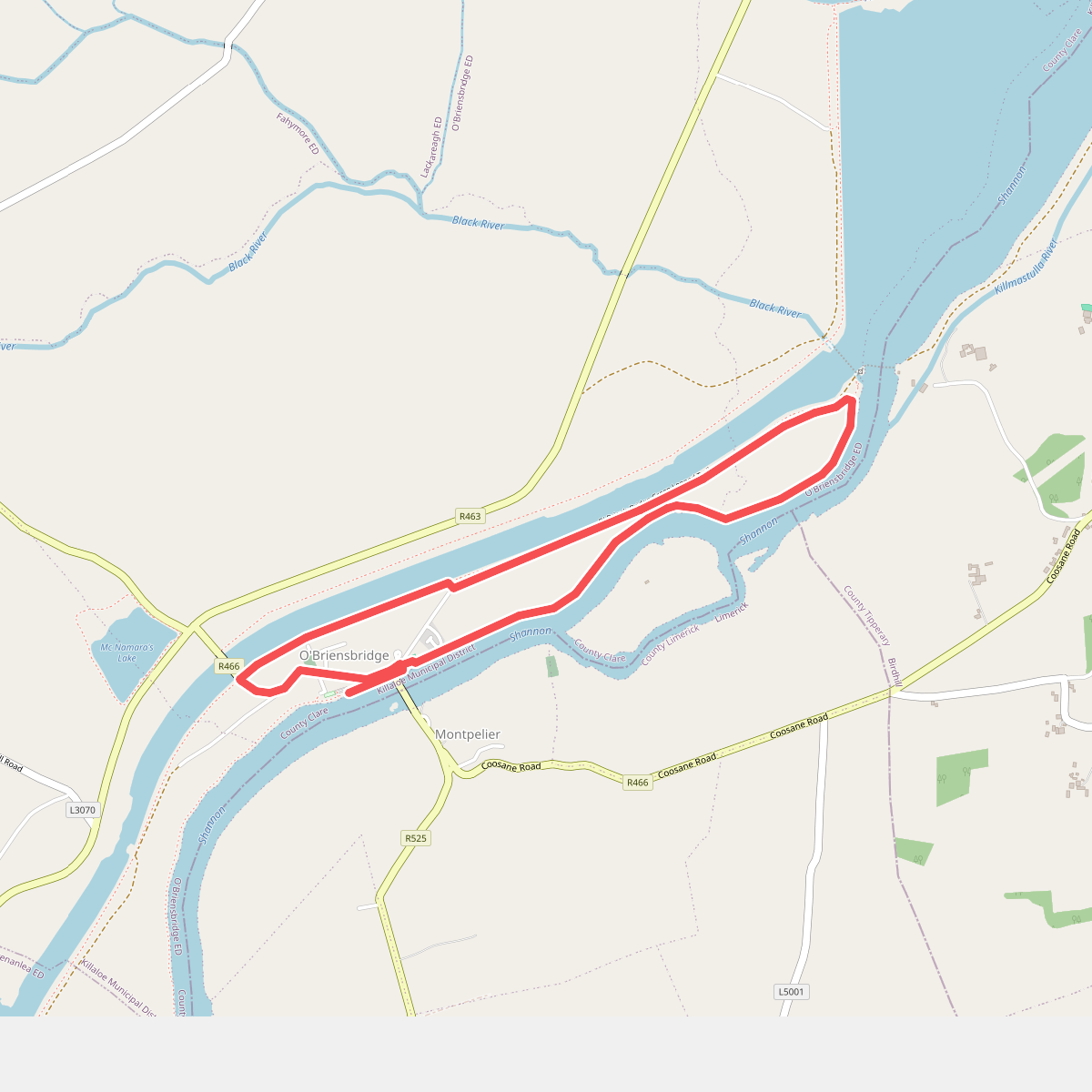O'Briensbridge Parteen Weir Loop
