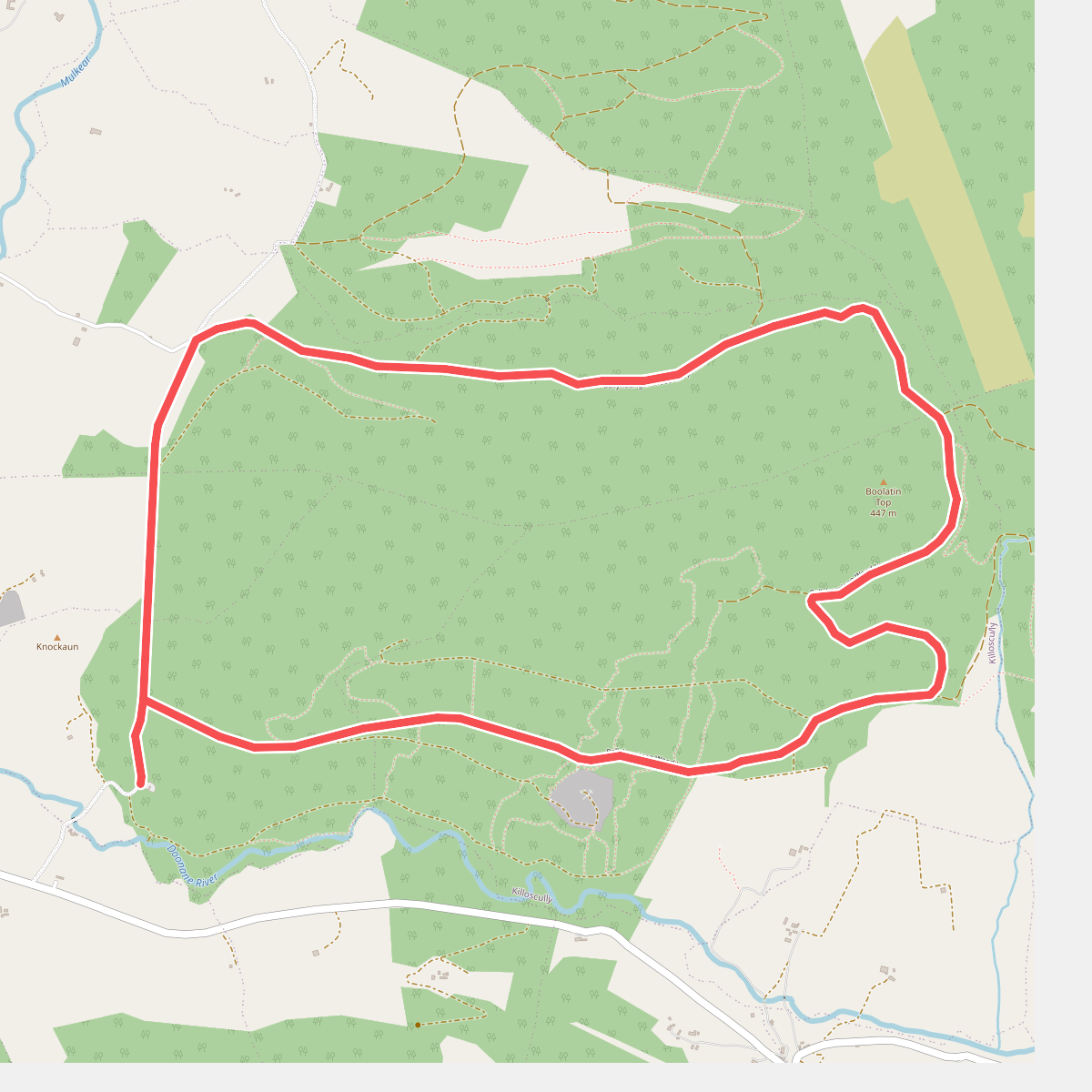 Ballyhourigan Woods looped walk