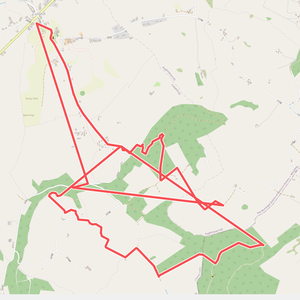 Binnianea Loop