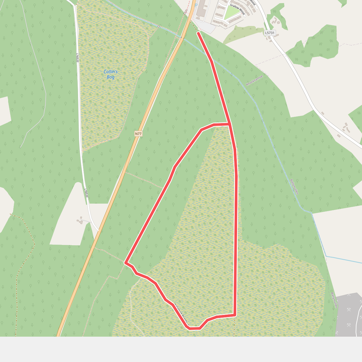 Abbeyleix Bog Walk 1