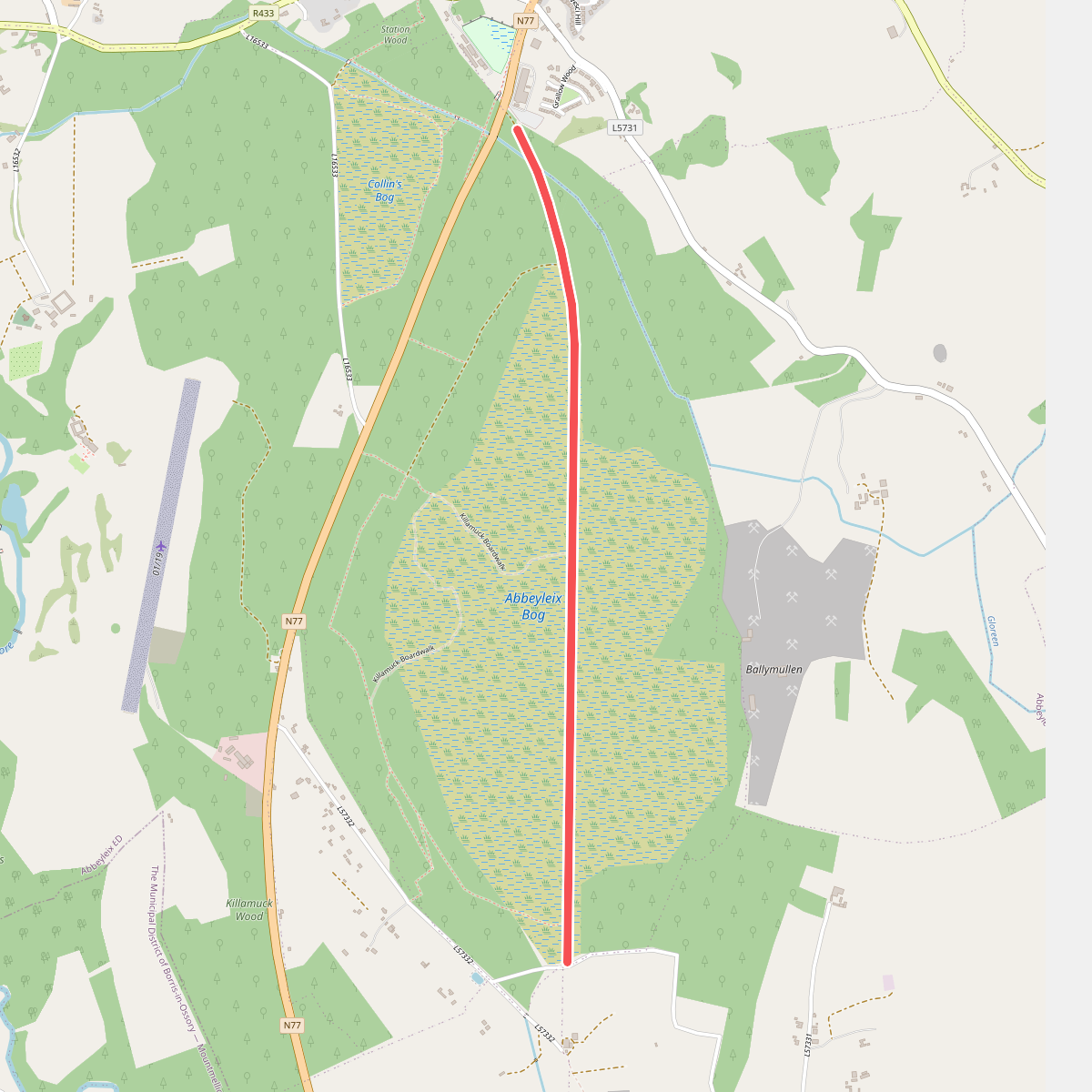 Abbeyleix Bog Walk 2