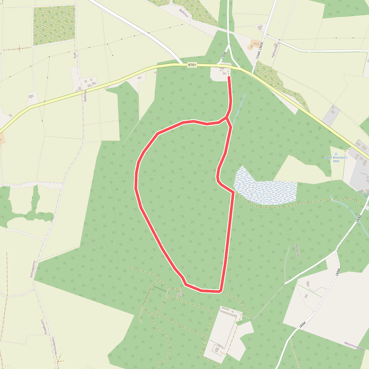 Castlemorris Fern Loop