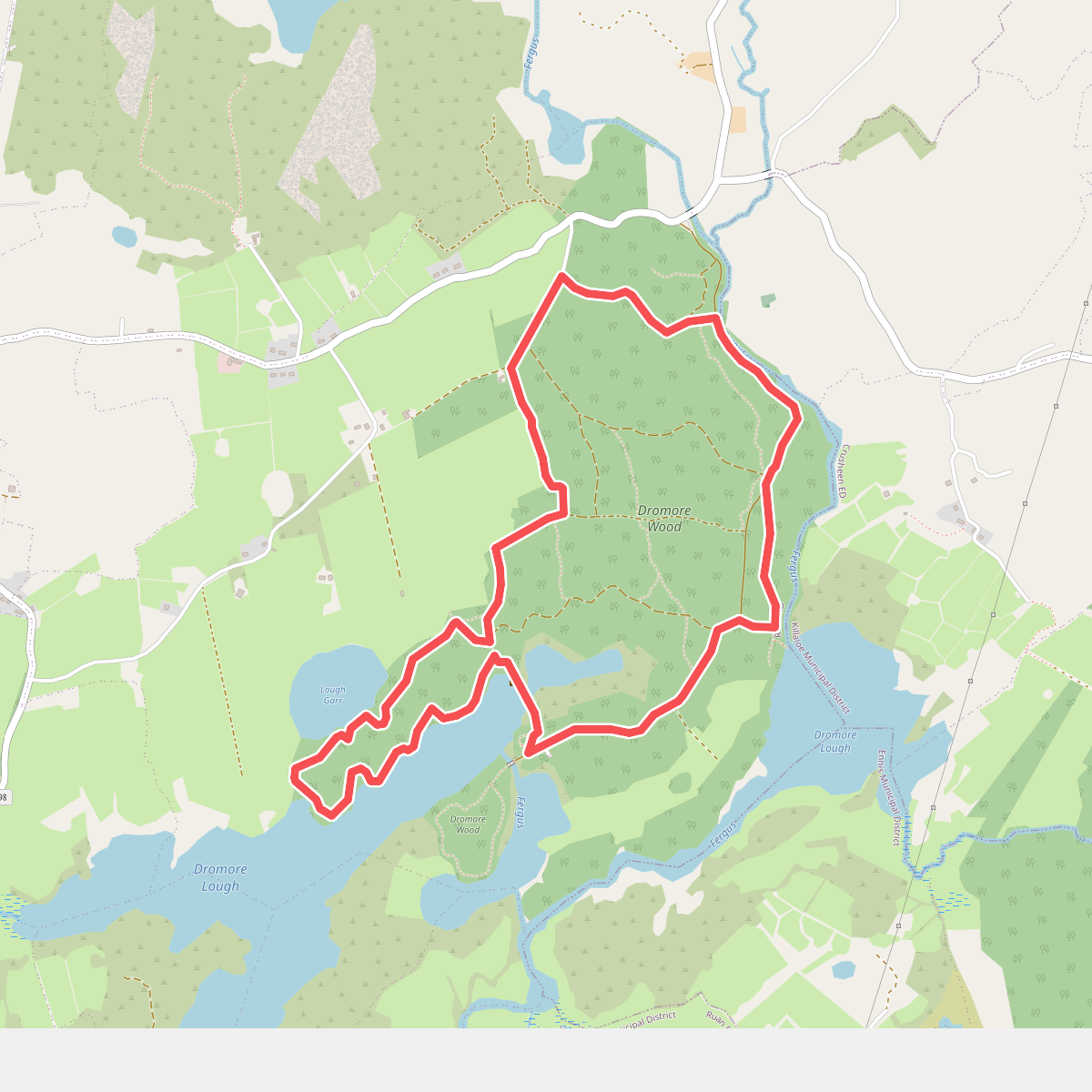 Dromore Wood Loop