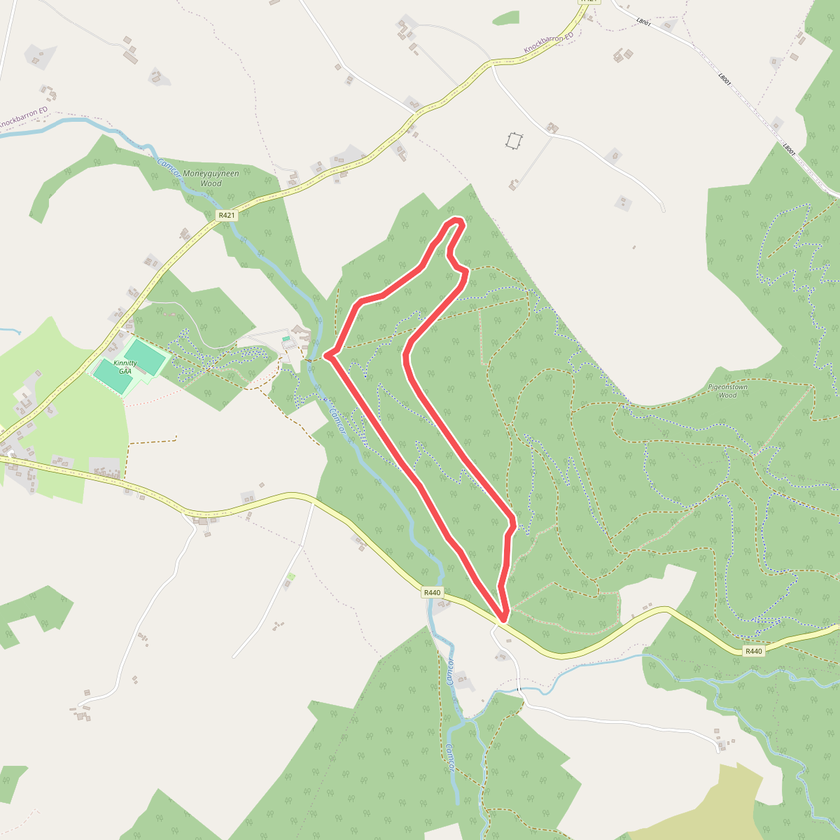 Kinnitty Castle Loop