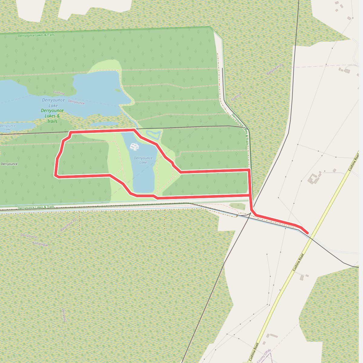Derryounce Walk (Yellow Loop)