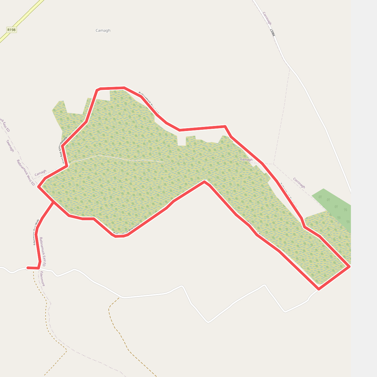 Ballinamuck Bog Loop