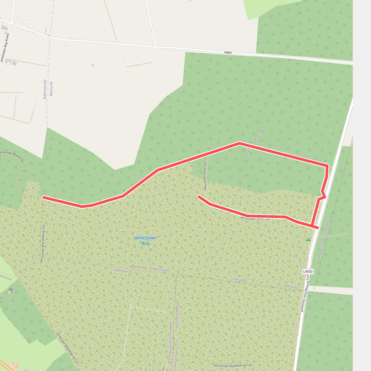 Jamestown Bog Path
