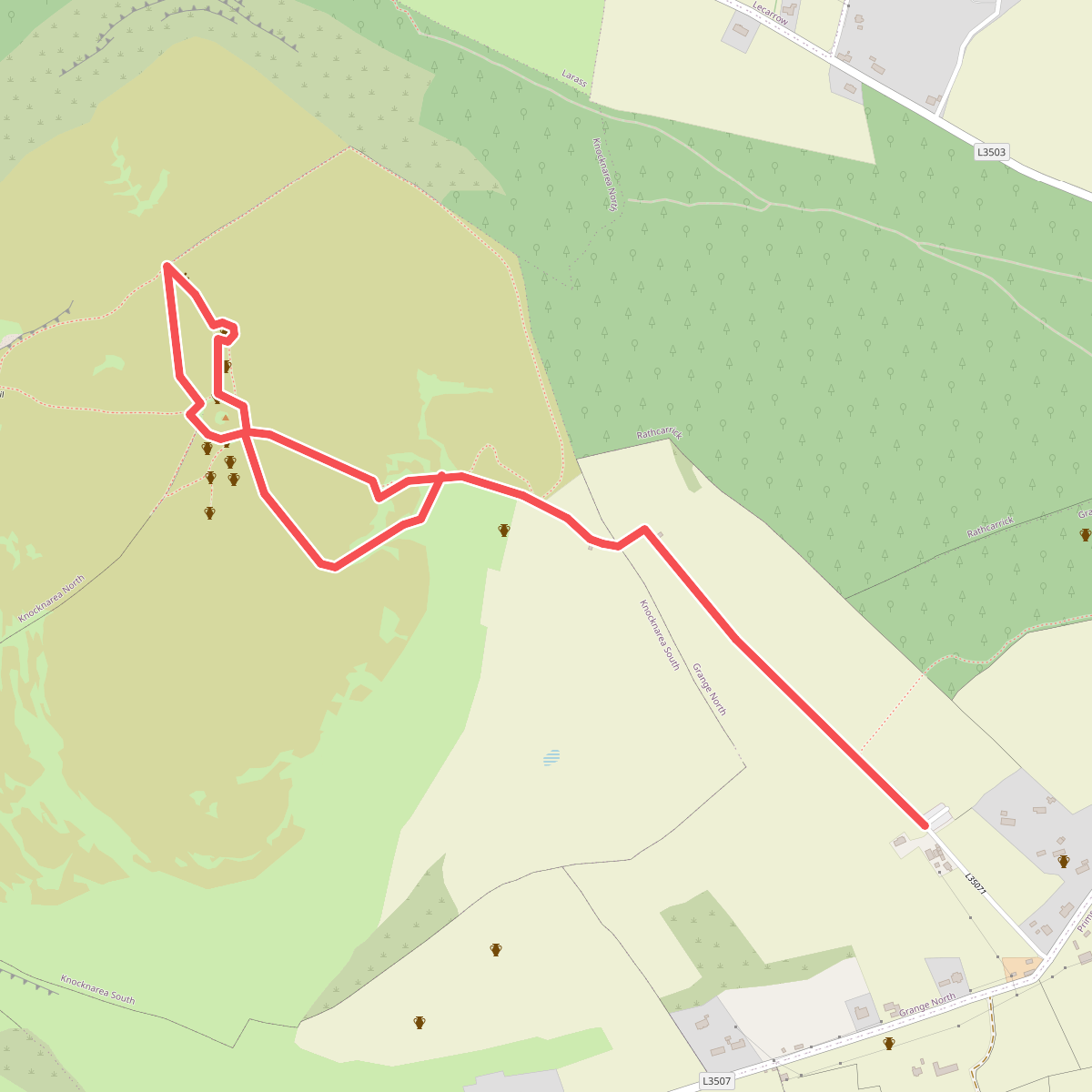 Knocknarea trail