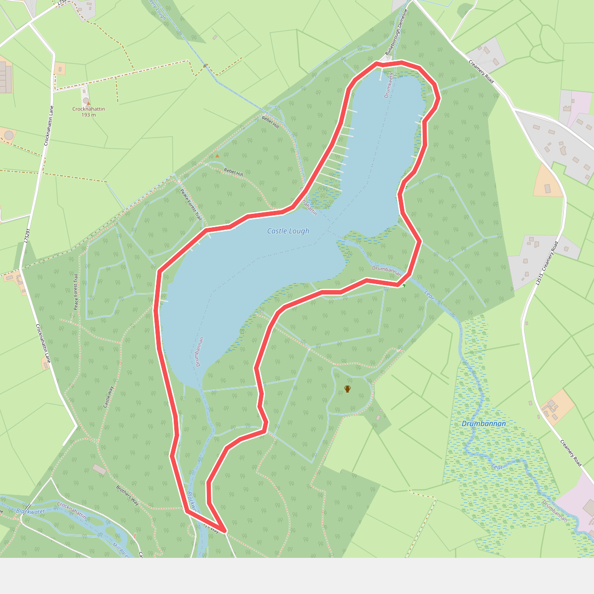 Bailieborough Castle Lake Loop (PJ's Way)