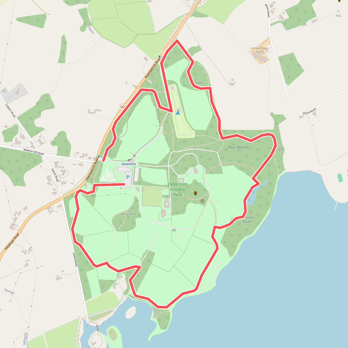 Crazy Trail