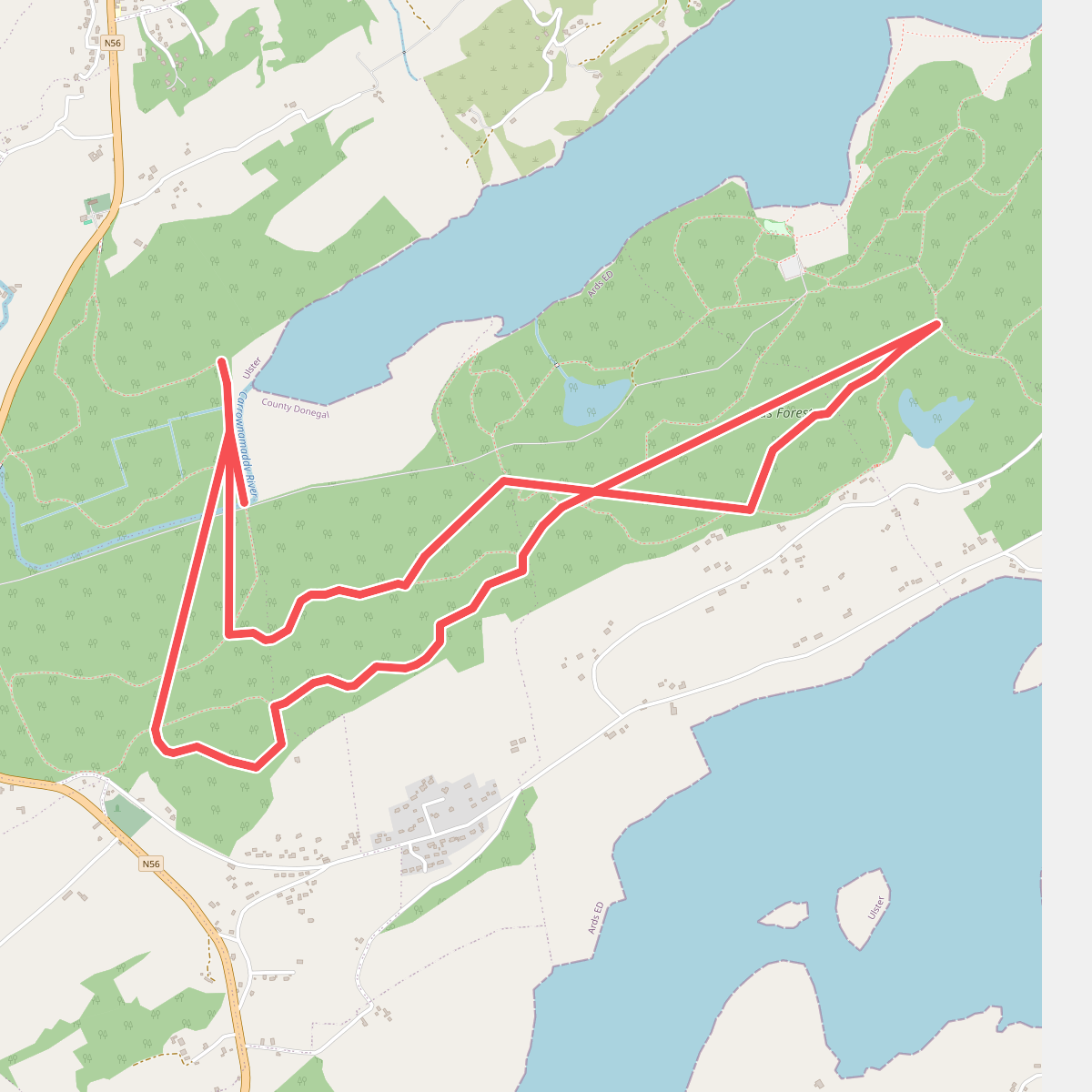 Ards Forest - Red Walk