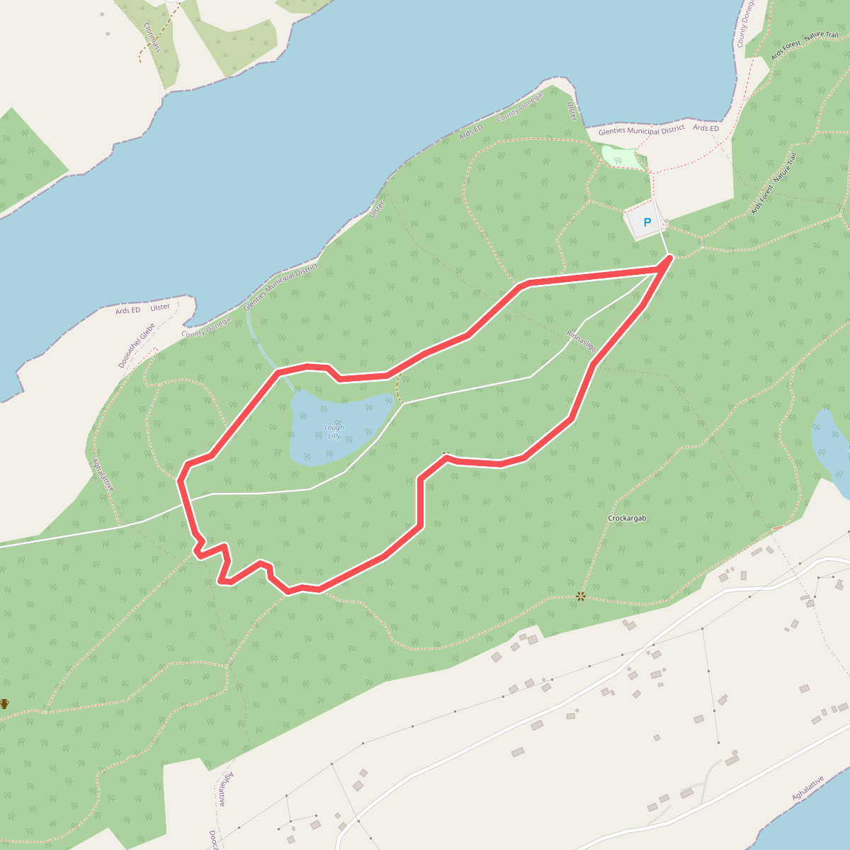 Ards Forest - Yellow Route