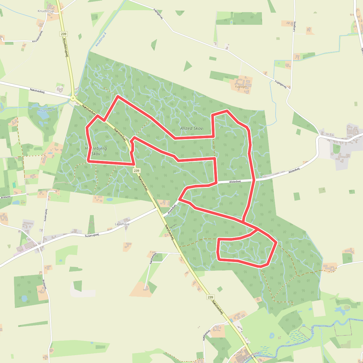 Alsted Skov