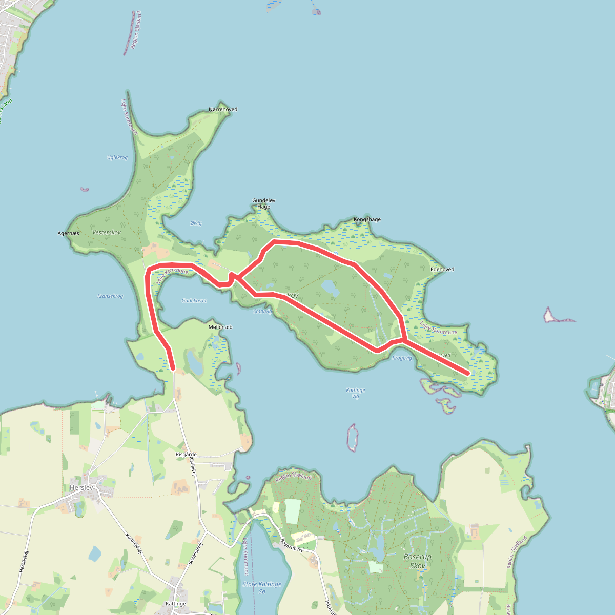 Bognæs Storskov