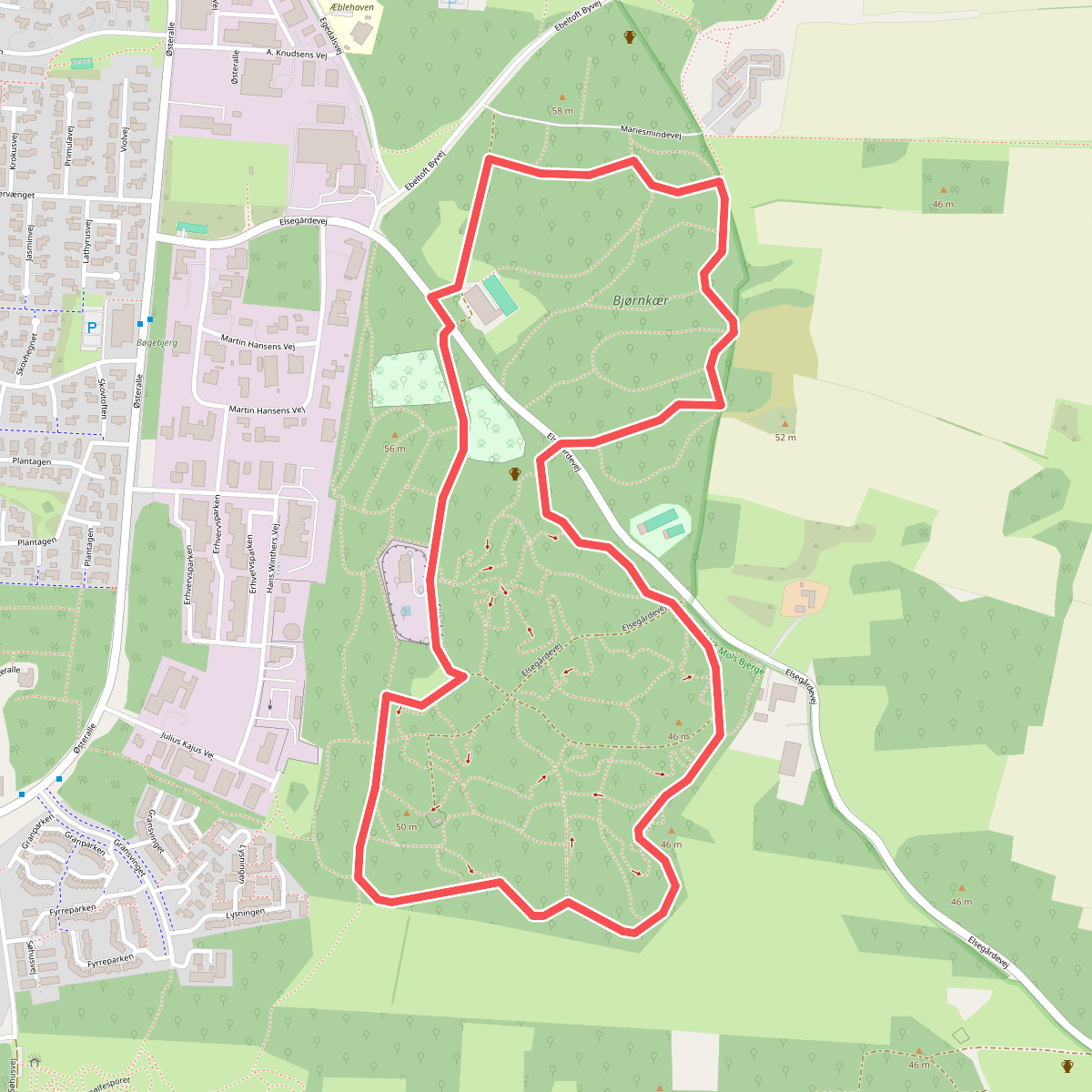 Bjørnkær - Egedal Skov