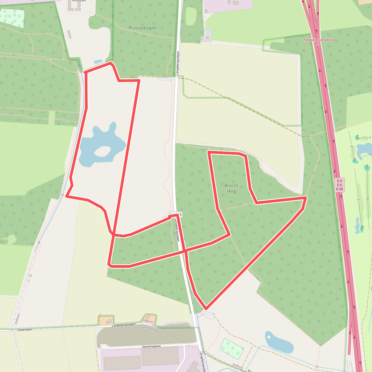 Bruces Skog Gula Spåret