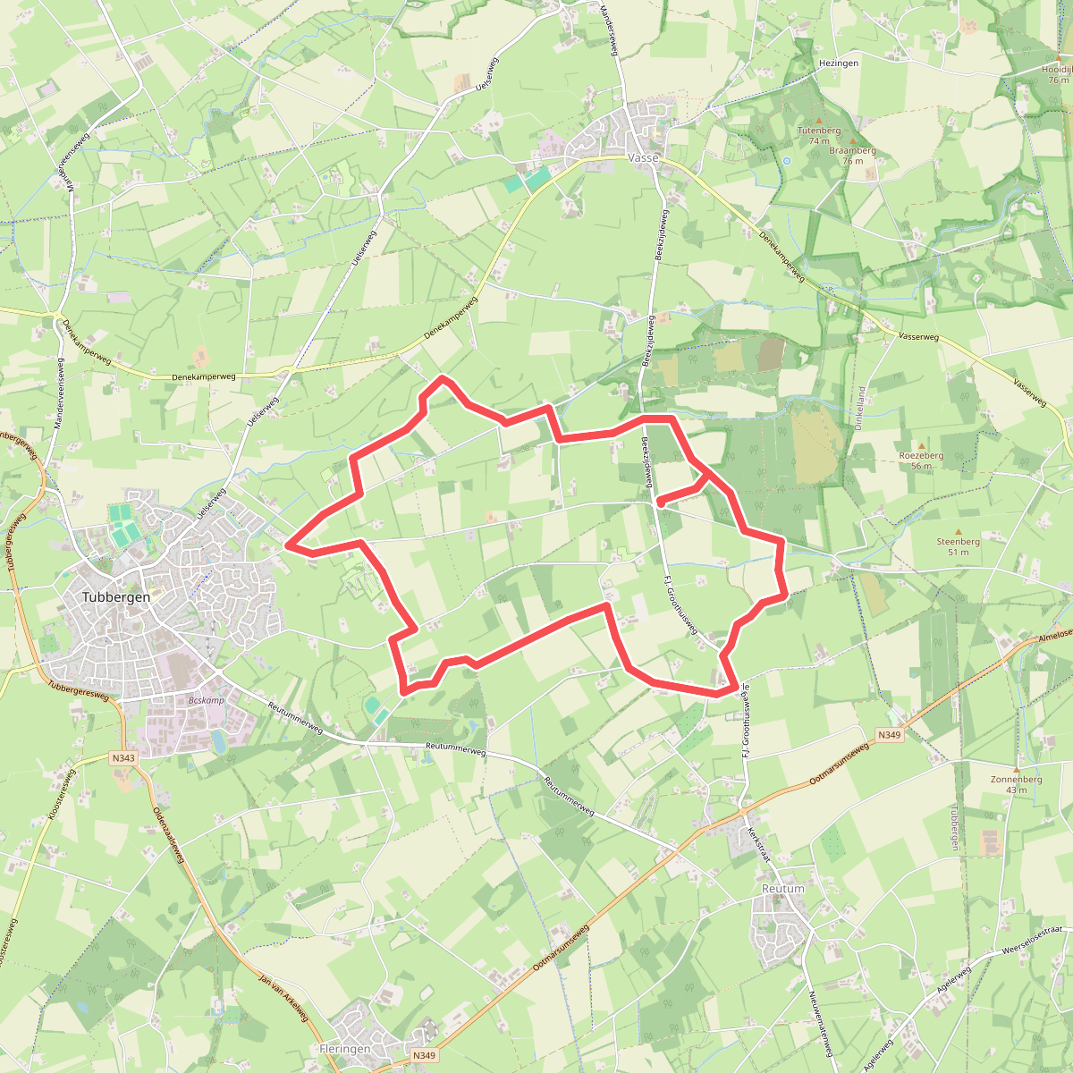 Vasserheide - Paars