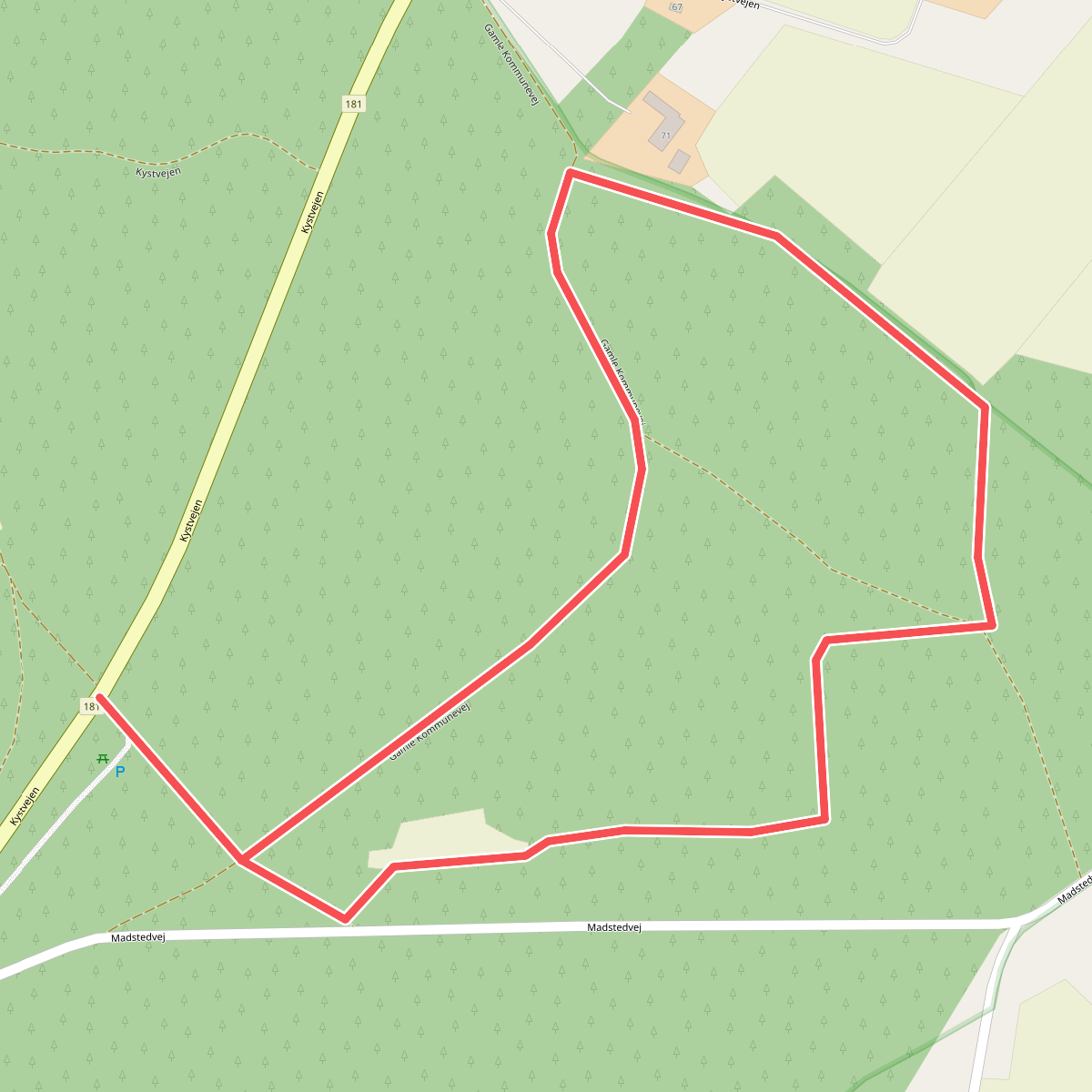 Blå rute