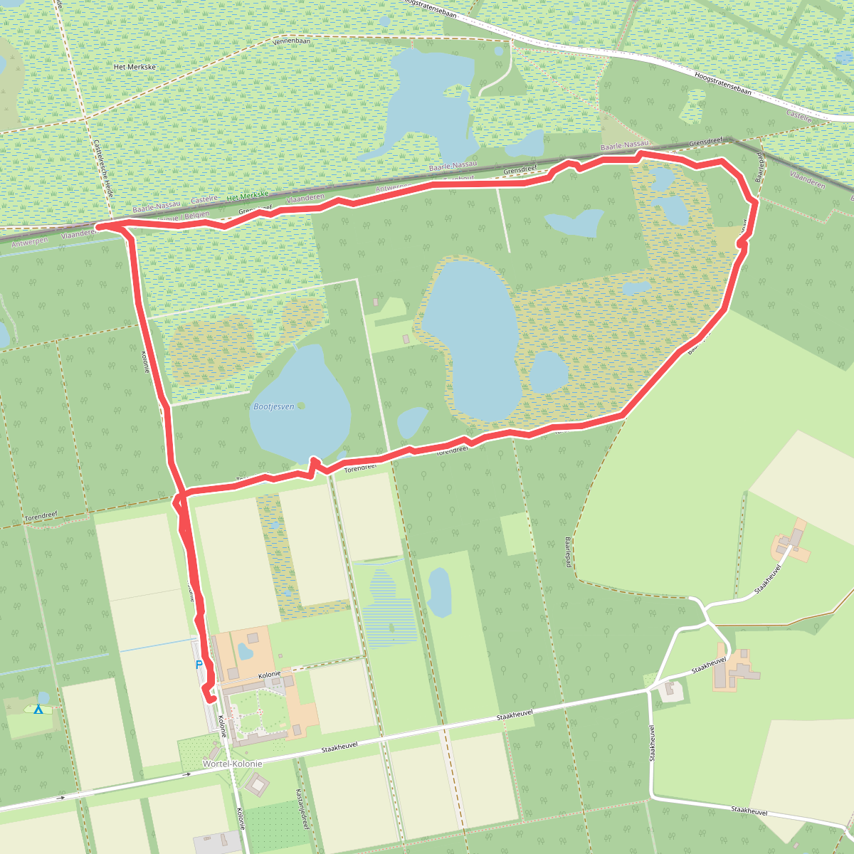 Wortel kolonie