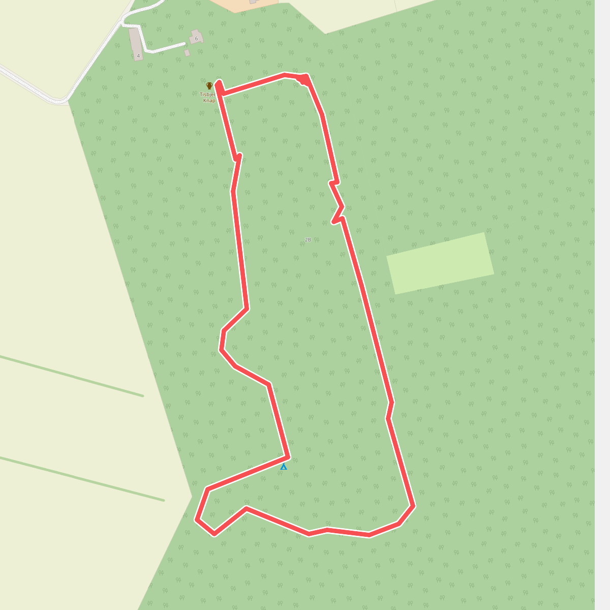 Tirsbjerg Plantage