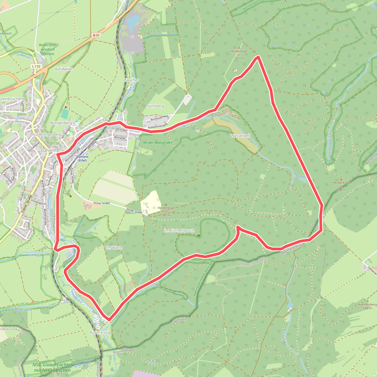Moorpfad Dahlem