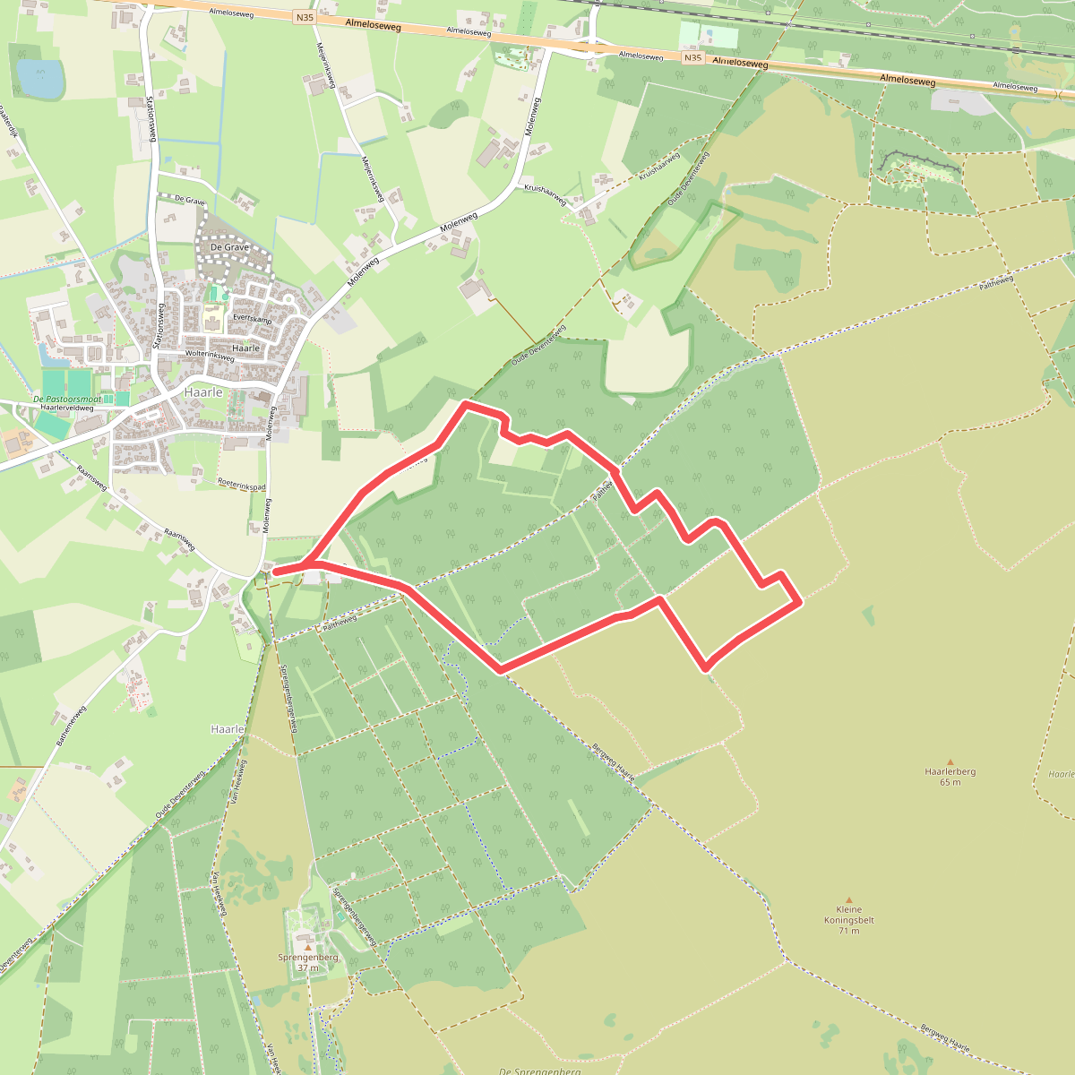 Sprengenberg - Groen