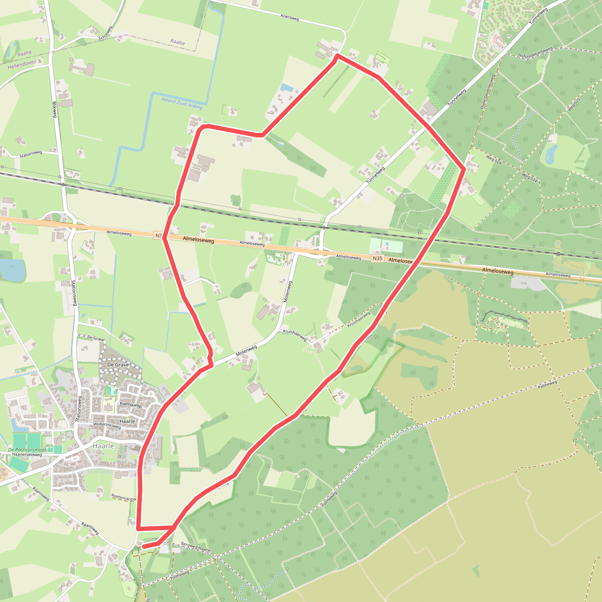 Sprengenberg - Paars