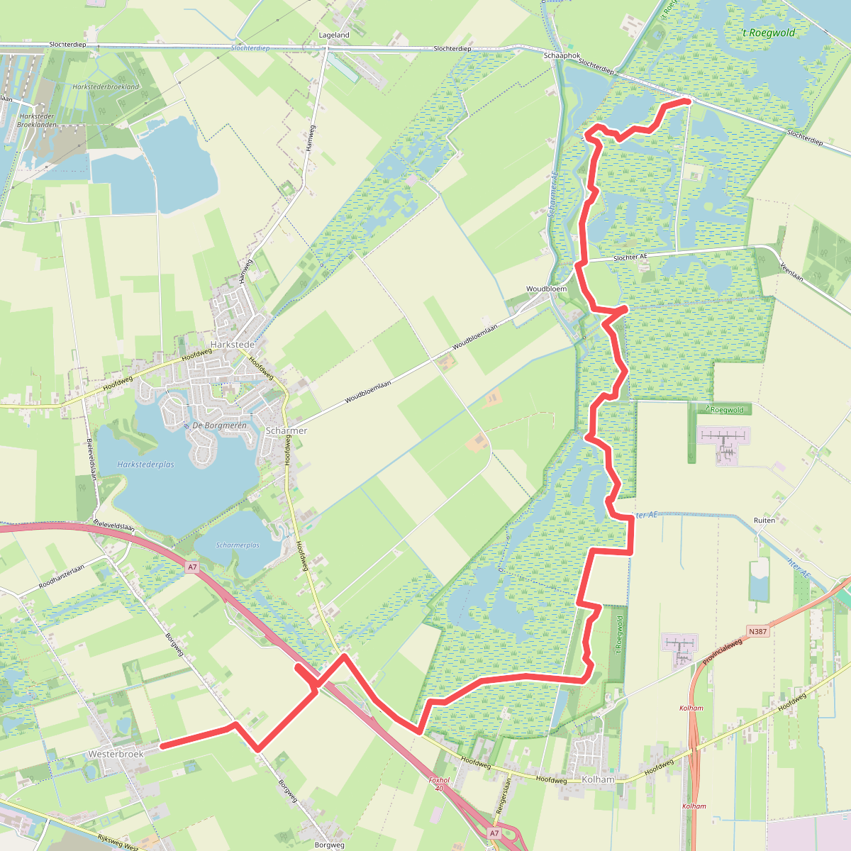 Westerbroek - AE's woudbloem • Groeningenpad Etappe 10