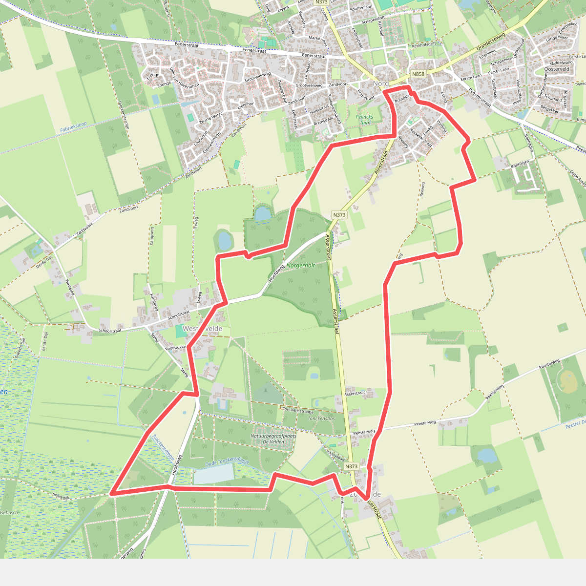 Norg: Het Tonckensbosch