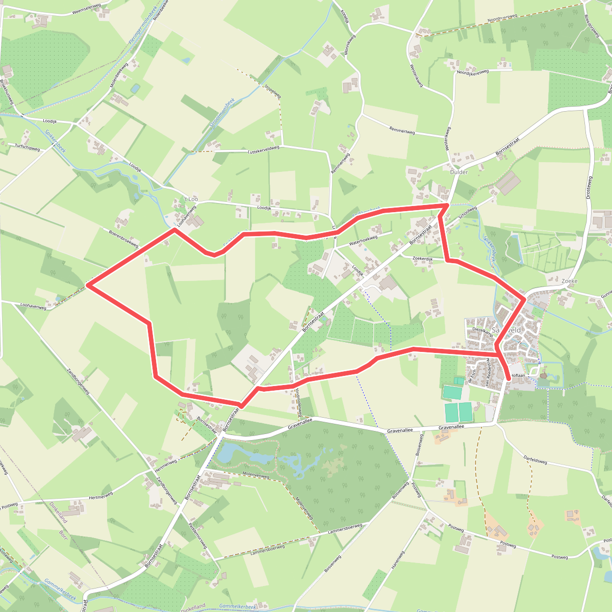 Saasveld - Oranje