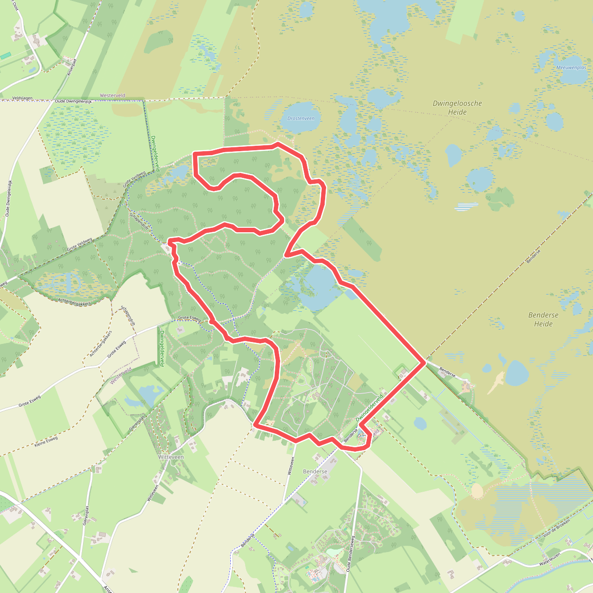 Dwingelderveld