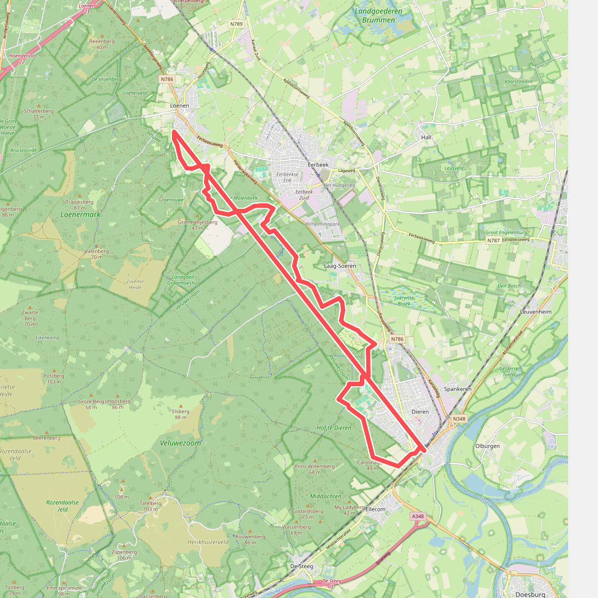 Rondje Veluwe 7 - Loenen - Dieren