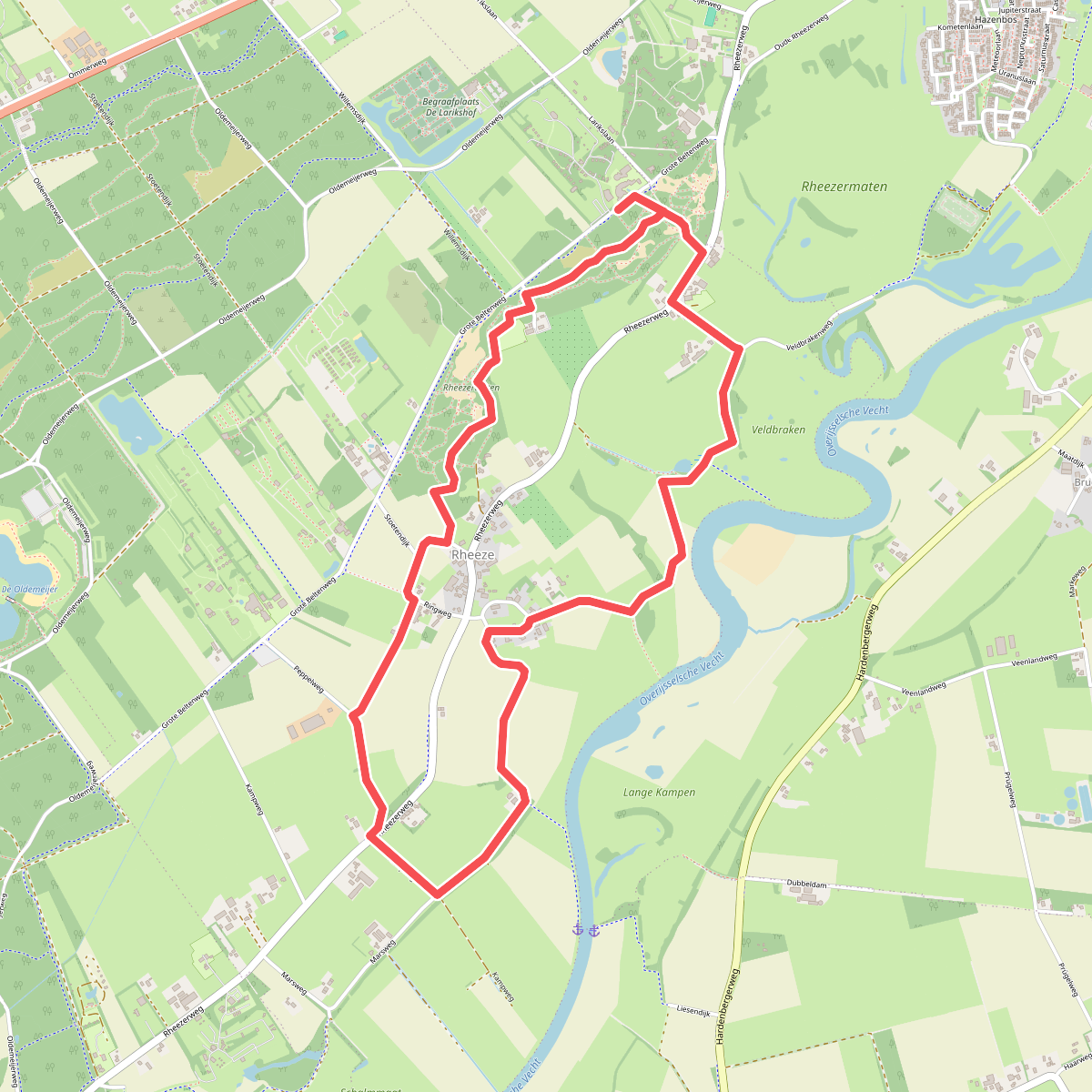 Rheezerbelten - Paars
