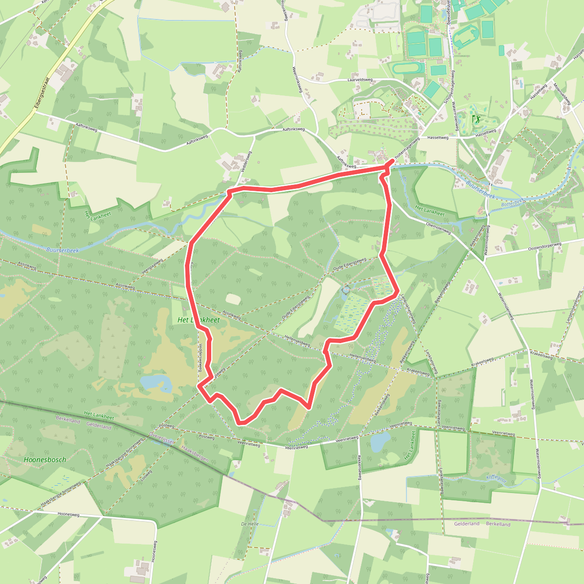 Lankheet - Groen