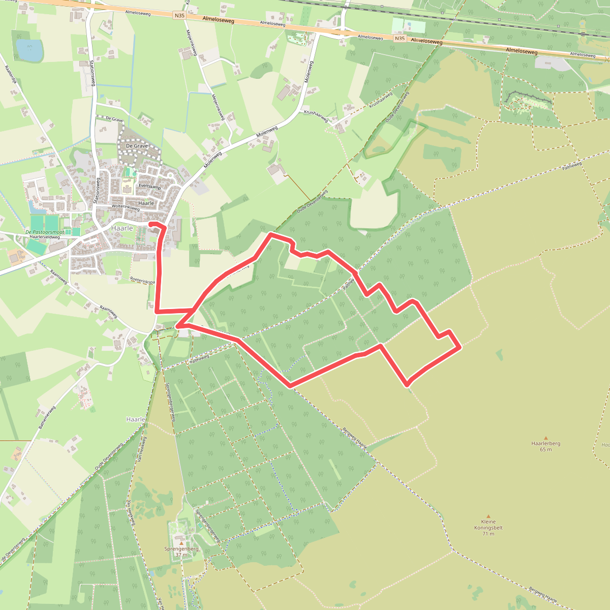 Haarle - Groen
