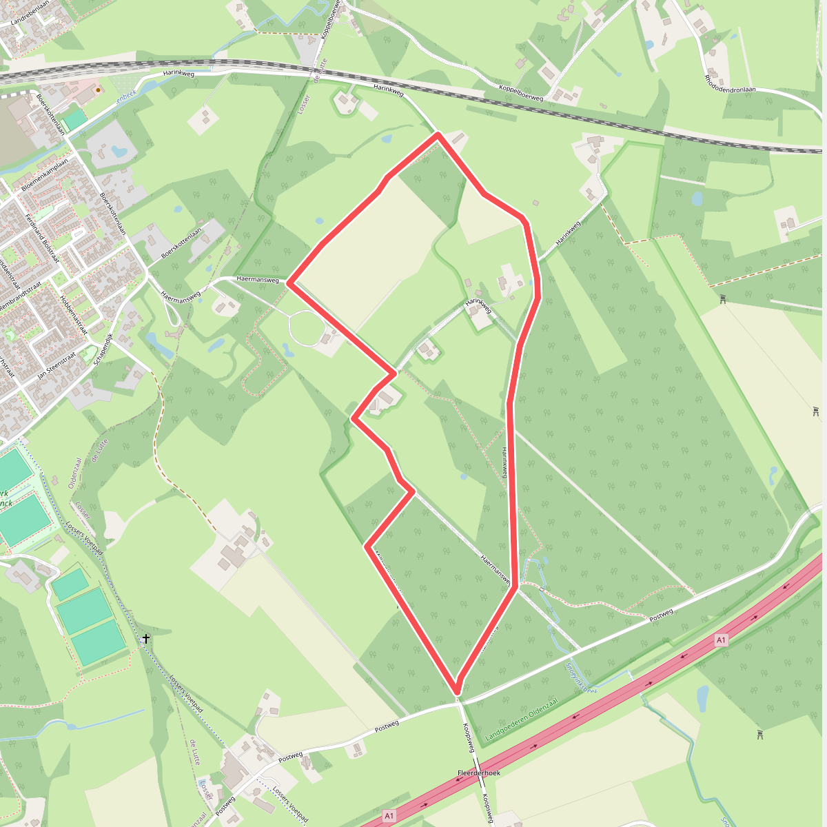 Boerskotten - Geel