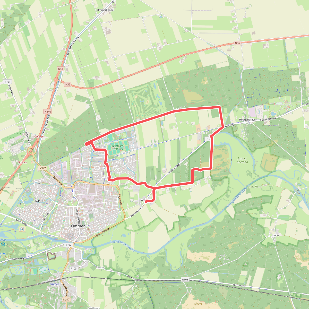 Arrien - Paars