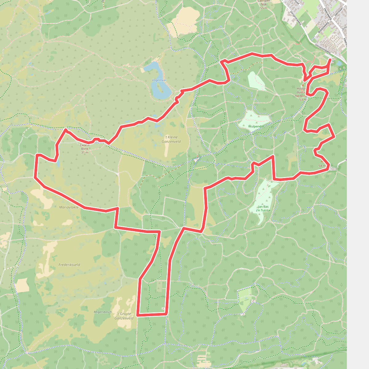 Wandelroute Duinheidewandeling