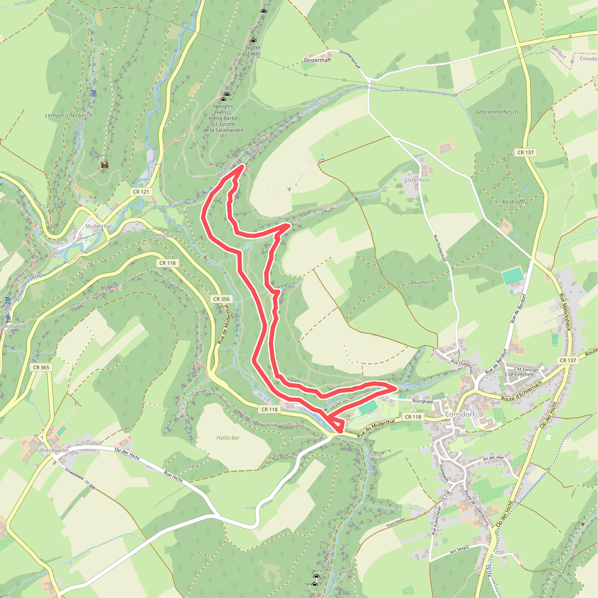 Mullerthal C5